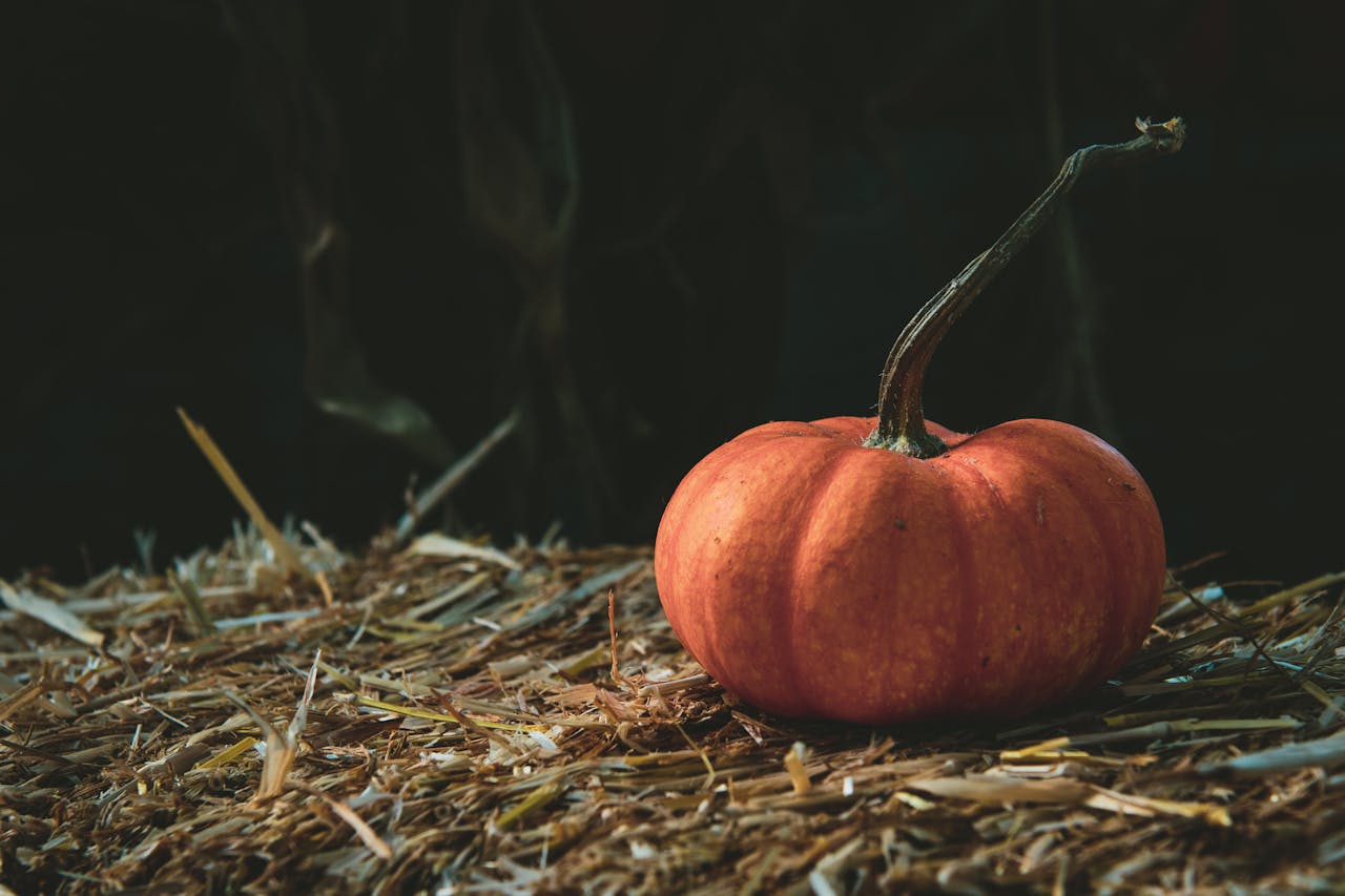 A vibrant orange pumpkin rests on a straw bale, embodying fall