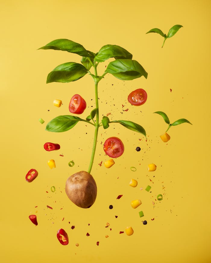 About A floating composition of vegetables and herbs against a vibrant yellow background.
